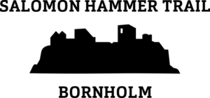 Salomon Hammer Trail Winter 2027